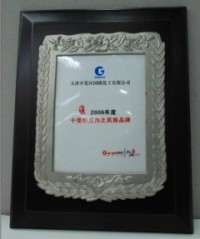 National Brand of Top 10 Supplier in 2006