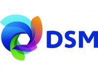 DSM